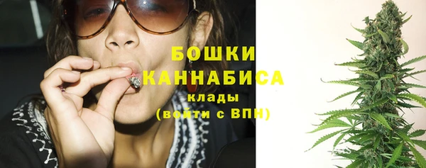 PSILOCYBIN Бугульма