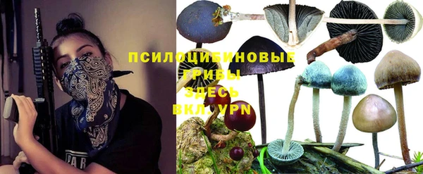 MESCALINE Бородино