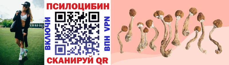 Купить где  Бирюсинск  Галлюциногенные грибы мухоморы 